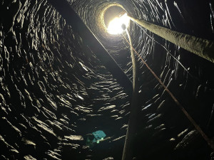 Pohled z útrob historické studny