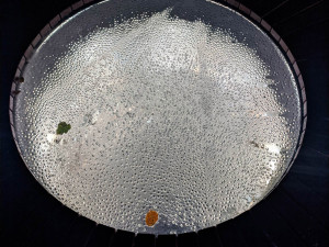 Ozdoba přerovského náměstí je hotová. Stovky let stará studna získala moderní zakrytí