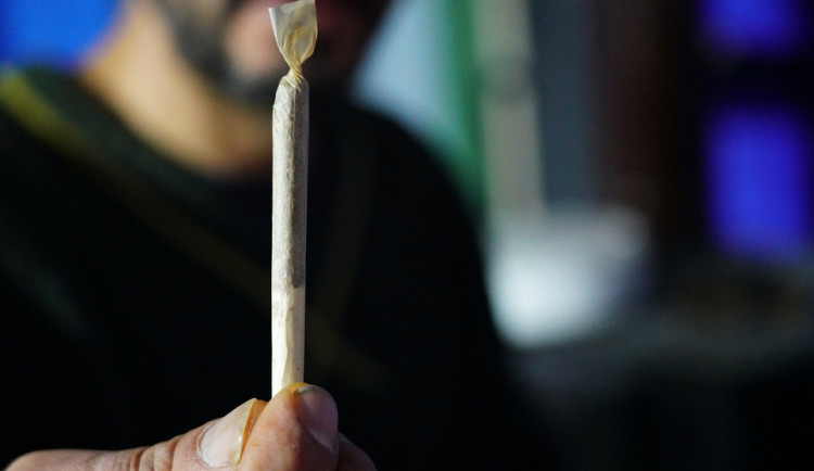 size3-16692073270686-60-neberte-ridicak-lidem-co-kouri-marihuanu-vyzyvaji-odbornici-z-brna