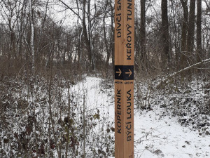 Chomoutov promění pěšinu v pohádkovou Vánoční stezku. Nabízí i dobrodružný keřový tunel
