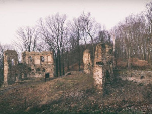 Zřícenina hradu Vikštejn