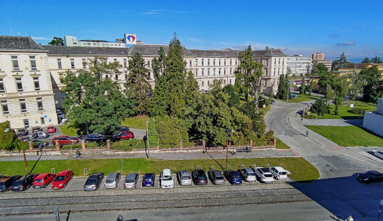 119136875_3587579624609193_4352200600697279281_n