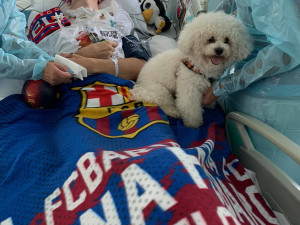 Dop bazální stimulace se zapojila i čtyřnohý miláček