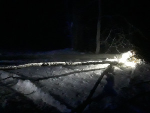 Kraj zlobí obleva. Hasiči odstraňují stromy a větve ze silnic a rampouchy ze střech