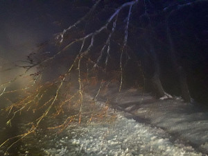 Kraj zlobí obleva. Hasiči odstraňují stromy a větve ze silnic a rampouchy ze střech