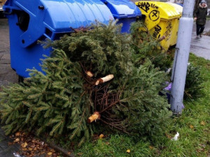 Jak správně vytřídit vánoční odpad? Podívejte se na záludnosti, ve kterých se nejčastěji chybuje