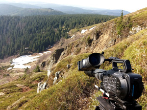 Čtyři roky s kamerou v terénu. Přírodu Jeseníku přibližuje unikátní dokument
