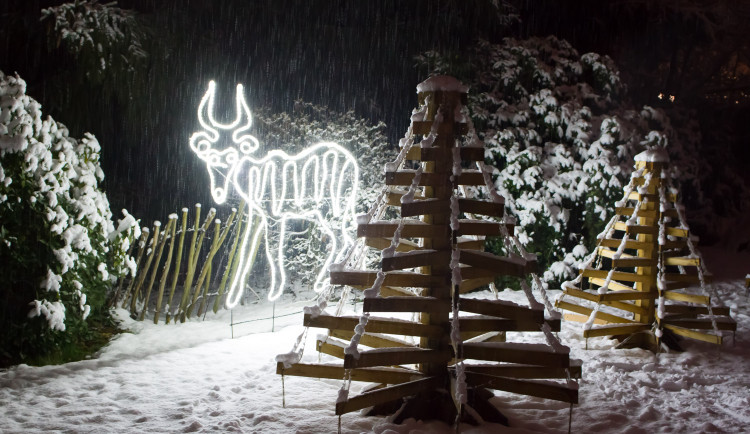 Kdo neviděl o Vánocích zlaté prasátko, má šanci během Vánoční ZOO