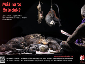 Zvířatům pomáhá i drastickými fotkami. Dokument Ve stínu přináší příběh terénní zooložky