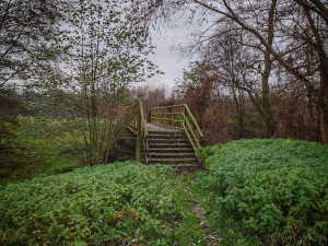TIP NA VÝLET: Nenáročná procházka krásnou přírodou Pomoraví. Ideální na Silvestra nebo na Nový rok