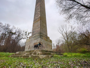 TIP NA VÝLET: Nenáročná procházka krásnou přírodou Pomoraví. Ideální na Silvestra nebo na Nový rok