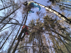 Kuriozní zásahy hasičů: chameleon na drátech, traktor v rybníce, paraglidista v korunách