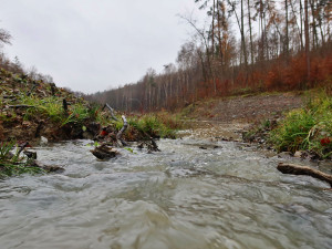 Vodní nádrž Křemle u obce Radslavičky