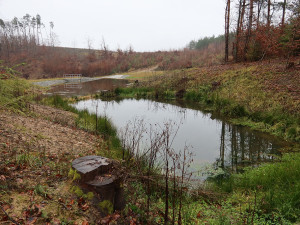 Vodní dílo na Valech u obce Podivice