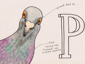 SEFO se odkládá kvůli holubovi, píše se na ohradě u muzea. Fikce má vyvolat otázky i upozornit na výstavu