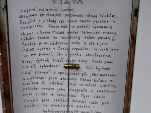 SEFO se odkládá kvůli holubovi, píše se na ohradě u muzea. Fikce má vyvolat otázky i upozornit na výstavu