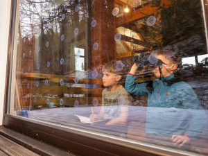 Ptačí hodinka láká stále více pozorovatelů. Zapojit se může každý