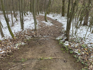 Úklid a opravy po vandalech jsou občas únavné, říká zakladatel Hanáckých stezek. Oblíbily si je už tisíce lidí