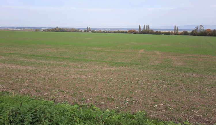 Trasu západního obchvatu Olomouce prozkoumají pyrotechnici. Mohla by zde být nevybuchlá munice