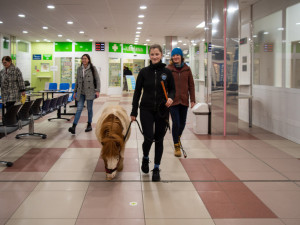 Poník Kulička přišel do olomoucké Fakultní nemocnice potěšit těžce zraněného chovatele koní
