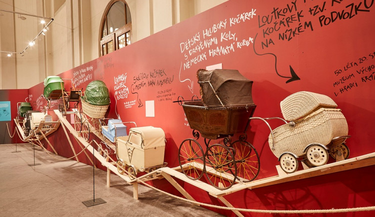 325210835_1209293576356265_2730249284704105747_n