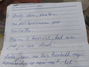 Útulek Javornické čumáčky byl na mizině. Během čtyř dní ho zachránila obrovská vlna solidarity