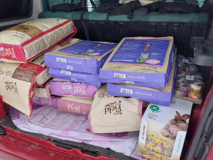 Útulek Javornické čumáčky byl na mizině. Během čtyř dní ho zachránila obrovská vlna solidarity