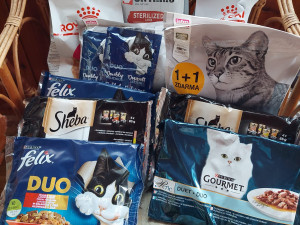 Útulek Javornické čumáčky byl na mizině. Během čtyř dní ho zachránila obrovská vlna solidarity