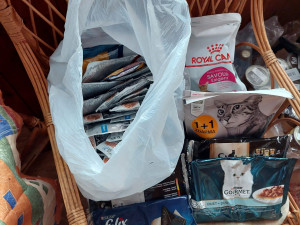 Útulek Javornické čumáčky byl na mizině. Během čtyř dní ho zachránila obrovská vlna solidarity