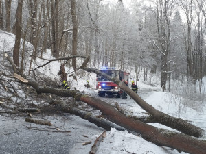 Kalamita na Jesenicku. Kvůli námraze padají stromy, cesty jsou uzavřené, elektřinu dodávají generátory