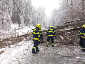 Kalamita na Javornicku. Kvůli námraze padají stromy, cesty jsou zavřené, elektřinu dodávají generátory