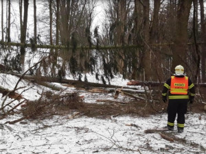 Hasiči řešili přes 150 zásahů kvůli větru. Nejvíc na Šumpersku a Jesenicku