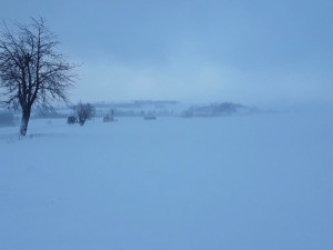 FOTOGALERIE: Hasiči řešili přes 150 zásahů kvůli větru. Nejvíc na Šumpersku a Jesenicku