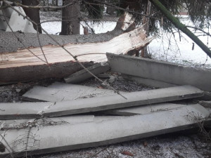 FOTOGALERIE: Hasiči řešili přes 150 zásahů kvůli větru. Nejvíc na Šumpersku a Jesenicku