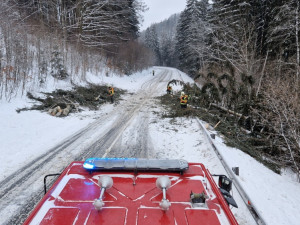 FOTOGALERIE: Hasiči řešili přes 150 zásahů kvůli větru. Nejvíc na Šumpersku a Jesenicku