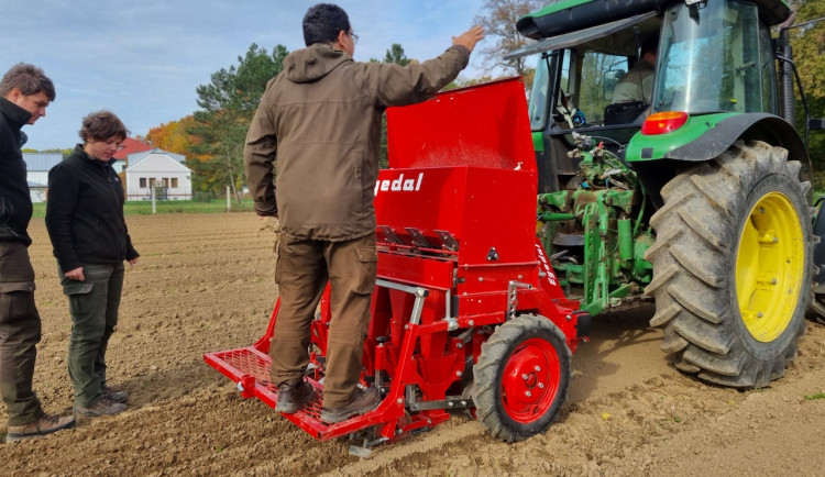 Lesníci v minulém roce vysadili přes čtyři miliony sazenic, čímž snížili počet holin o třetinu.