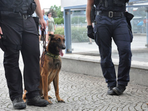 VIDEO: To jste tak nemocná, ptali se celníci. Dvojice vezla z Polska stovky tablet a injekční stříkačky