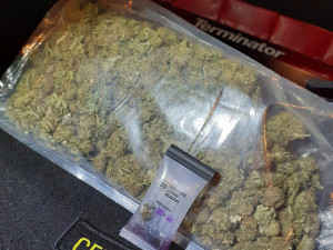 VIDEO: To jste tak nemocná, ptali se celníci. Dvojice vezla z Polska stovky tablet a injekční stříkačky