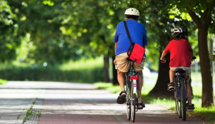 Cyklostezka DvoÅÃ¡kova ulice (3)