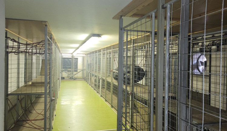 Prostějovský polygon je nevyhovující. Hasiči si jej postavili svépomocí v 80. letech