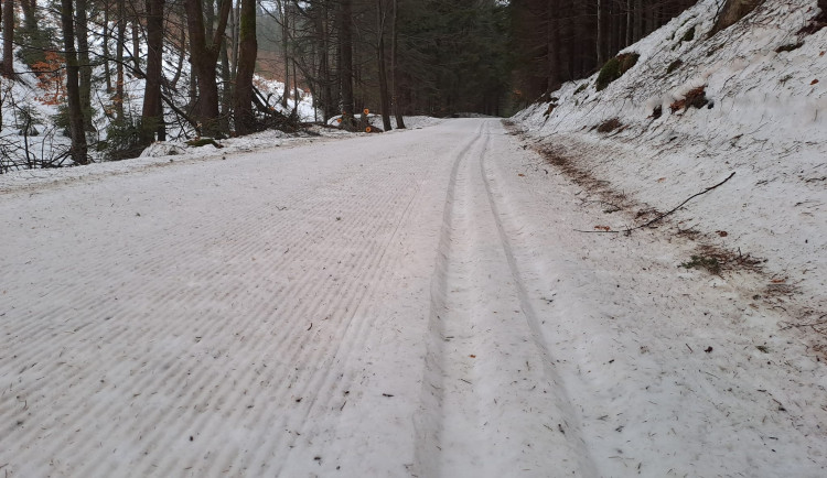 332970992_1988837724780480_7370393936958687866_n