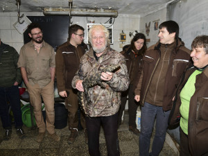 VIDEO: Úspěšné sexování olomouckých krokodýlů: zoo na Svatém Kopečku hlásí pět samců