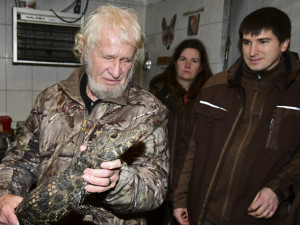 VIDEO: Úspěšné sexování olomouckých krokodýlů: zoo na Svatém Kopečku hlásí pět samců