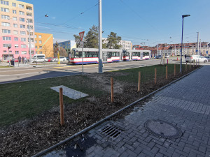 Větší změny nejdřív za pět let. I nedostatky na přebudovaném sídlišti v Olomouci jsou v ochranné lhůtě