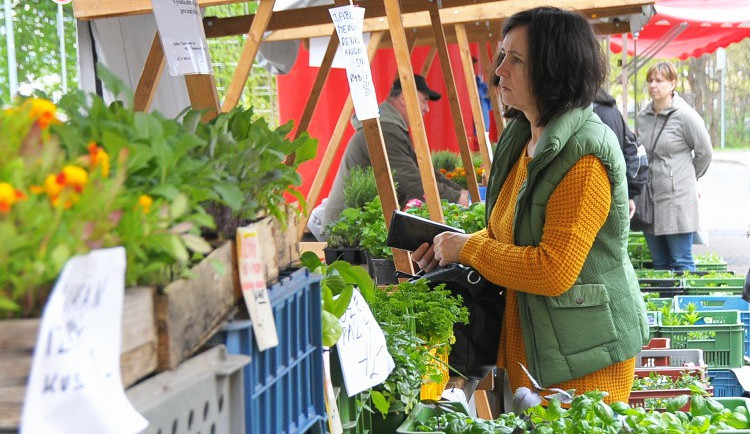 Hradecký Dopravní podnik láká na jednodenní jarní zájezdy do Polska