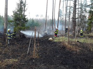 První letošní požár lesa. U Nové Hradečné hořel travní porost a malé jehličnaté stromky