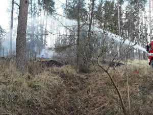 První letošní požár lesa. U Nové Hradečné hořel travní porost a malé jehličnaté stromky