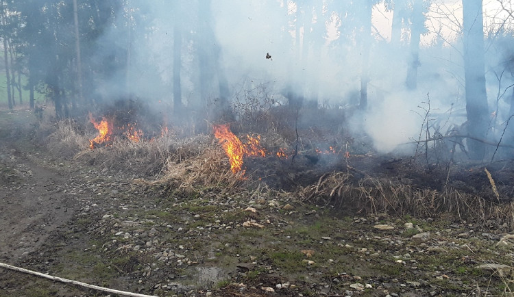 První letošní požár lesa. U Nové Hradečné hořel travní porost a malé jehličnaté stromky