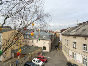 Pestrobarevná krása: kraslicovníky jarně oživily uličku v centru Olomouce