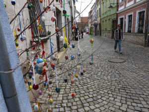 Pestrobarevná krása: kraslicovníky jarně oživily uličku v centru Olomouce